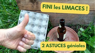 FINI les LIMACES au POTAGER 2 ASTUCES géniales [upl. by Sholley64]