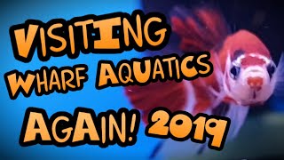 VISITING WHARF AQUATICS AGAIN 2019 [upl. by Eric]