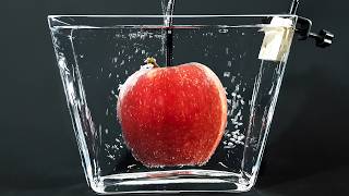 🍎 Apple in water for 365 days [upl. by Aretak]