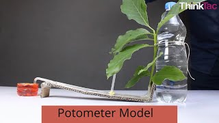 Potometer Model  ThinkTac [upl. by Amlas]