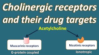 Cholinergic receptors and their drug targets [upl. by Anoli]