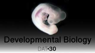 Developmental Biology Intro to Developmental Biology [upl. by Zucker]