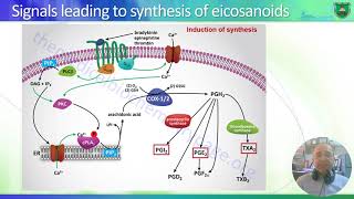 Metabolism of Eicosanoids 2023 2024 [upl. by Durno]