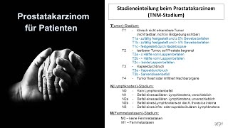 Prostatakarzinom für Patienten  Tumorstadien  Prof Hilke Vorwerk [upl. by Assenev]