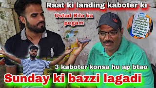 raat ki landing ustad Bila ki bazi lag gai 3 kabutar apki marzi k hugay [upl. by Dihgirb]