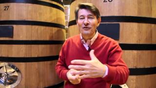 Which are the very best white Burgundies [upl. by Udale]