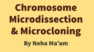 Chromosome Microdissection amp Microcloning [upl. by Edris23]