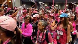 Nearly 850 take part in this years Susan G Komen 3day walk in Boston [upl. by Amiaj983]