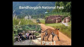 Bandhavgarh National Park Trip [upl. by Edmon197]