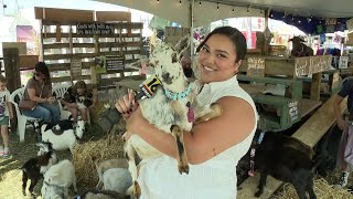 Preview Day at the Bloomsburg Fair [upl. by Finn]