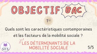 BAC Cours Mobilité Sociale  Les déterminants de la MS [upl. by Avruch]