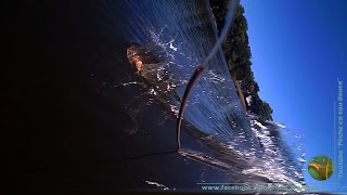 Pêche à la carpe à Biarritz au Lac Marion [upl. by Rtoip332]