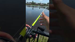 That One Time I Accidentally Caught a Fish With a Birds Nest bassfishing fishing bass [upl. by Iney176]