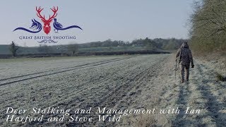 Muntjac Deer Stalking and Deer Management with Ian Harford and Steve Wild [upl. by Hahcim17]