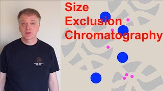 Size Exclusion Chromatography SEC [upl. by Oetomit]