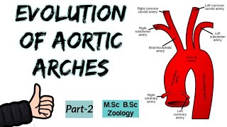 Trends in Evolution of Aortic ArchesModification of Aortic ArchesEvolution of Aortic ArchesPart2 [upl. by Isherwood]