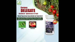 Top Insecticide for Controlling Pests ThripsLeafMinerwhitefly [upl. by Zetrauq]