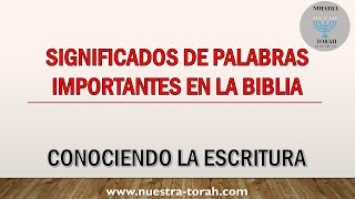 SIGNIFICADOS DE PALABRAS IMPORTANTES EN LA BIBLIA con subtítulos [upl. by Nylassej]