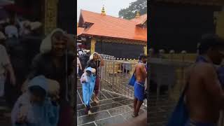 Sabarimala Live visuals today 17052024 ayyappa sabarimala viral shorts sabarimalaofficial [upl. by Hugues304]