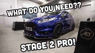 FIESTA ST STAGE 2 WHAT YOU NEED TWO MINUTE TUESDAY [upl. by Miharba]