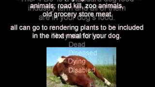 Commercial Dog Food Exposed [upl. by Nessa]