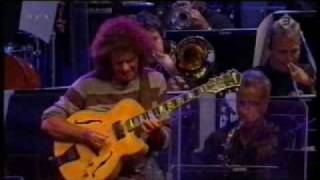 Pat Metheny  Minuano [upl. by Kunz66]