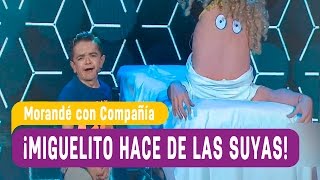 Miguelito hace de las suyas  Morandé con Compañía 2016 [upl. by Aklog]