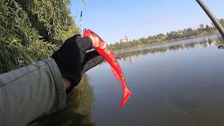 Goby Shad Savage Gear Карьер в городе [upl. by Neyut]