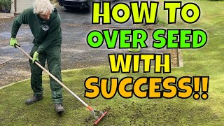 Spreading SEEDING on a NEW lawn  Repairing Winter Damage in Spring [upl. by Airemahs]