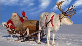 Joulupukki amp porot 🦌🎅 Joulupukin parhaat rekiajelut Rovaniemi Lappi Korvatunturi joulu Santa Claus [upl. by Haon]