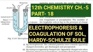 12th Chemistry Ch5Part18Electrophoresis amp Coagulation of solHardySchulze ruleStudy with Farru [upl. by Eliam]