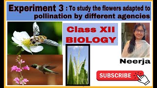 Flowers adapted to pollination by different agencies Experiment 3class12biologyTerm1by Neerja [upl. by Hars795]