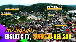 BISLIG CITY SURIGAO DEL SUR  DRONE SHOTS 4K  TRIP OUTDOOR [upl. by Heyward]