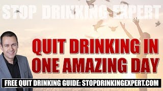 Quit Drinking In 1 Amazing Day  Stop Drinking Expert Live Seminars [upl. by Quar]