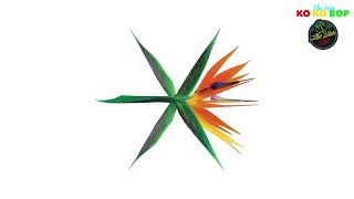 EXO 엑소 Ko Ko Bop Official Instrumental [upl. by Xever504]