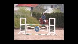 ShowJumperCliniccom Presents Ludger Beerbaum Day 1 Riding amp Lecturing Gotha sample 145589 [upl. by Jennie]