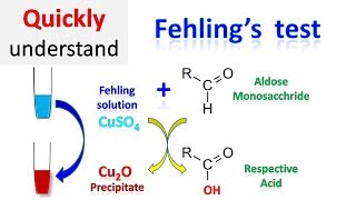 Fehling test [upl. by Assirol]