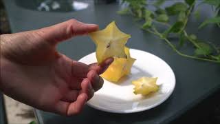 Фрукт Карамбола Звездчатый фрукт Carambola Star fruit [upl. by Adia]