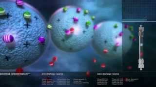 Principles of Chromatography [upl. by Wetzel]