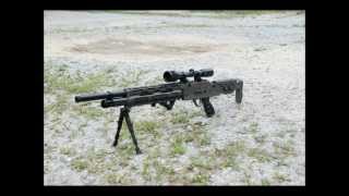 Full auto air rifle Evanix Giant and Speed tests [upl. by Kram]