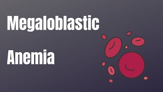 Megaloblastic anemia [upl. by Novad]