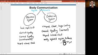 Biology 2020 Chapter 17 The Endocrine System Body amp Cell Communication Video 1 [upl. by Rhoads952]