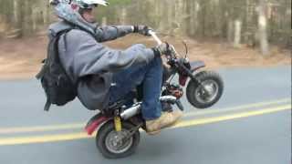 long honda z50 wheelies down street [upl. by Ahseral]