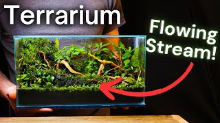 I Made a Terrarium With a FLOWING STREAM Here’s How [upl. by Hindu]