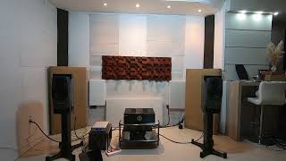 Dynaudio Confidence C20 MF Primo Ayre QB9 DSD Moon 700i [upl. by Alludba]