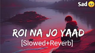 Roi Na Jo Yaad Meri Aayi SlowedReverb Sad lofi  New Sad Songs  Sad Song  Hindi Sad Song [upl. by Winn767]