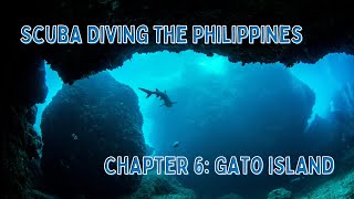 Scuba Diving The Philippines  Gato Island malapascua gatoisland scubadiving [upl. by Dlorad]