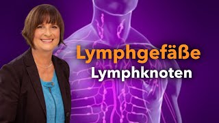 Lymphgefäße  Lymphknoten [upl. by Sivahc911]