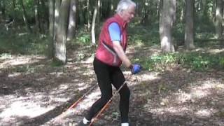 Nordic Walking Technik Anleitung Speed Power [upl. by Silra199]