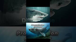 Otodus Chubutensis vs Sea Predators paleontology paleo shark megalodon vs dinosaurs animals [upl. by Gun197]